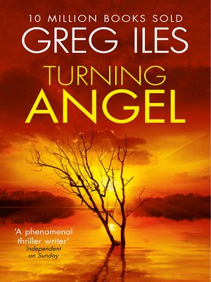 cover image of Turning Angel